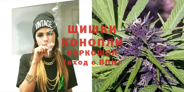 шишки Семилуки