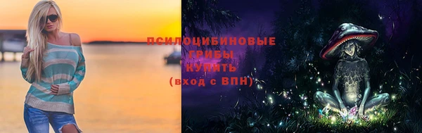 ПСИЛОЦИБИНОВЫЕ ГРИБЫ Армянск