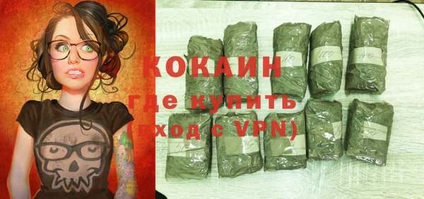 шишки Семилуки