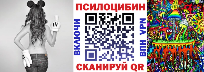 блэк спрут как войти  Чебаркуль  Галлюциногенные грибы прущие грибы  закладки 